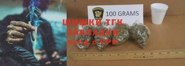 хмурый Алзамай