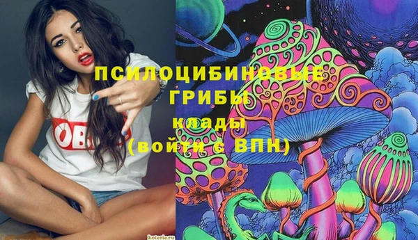 Альфа ПВП Алексин