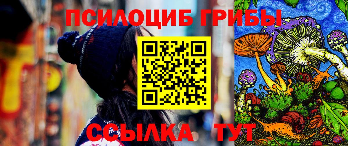 Псилоцибиновые грибы ЛСД  Псилоцибиновые грибы GOLDEN TEACHER  Бердск  Вход с VPN 