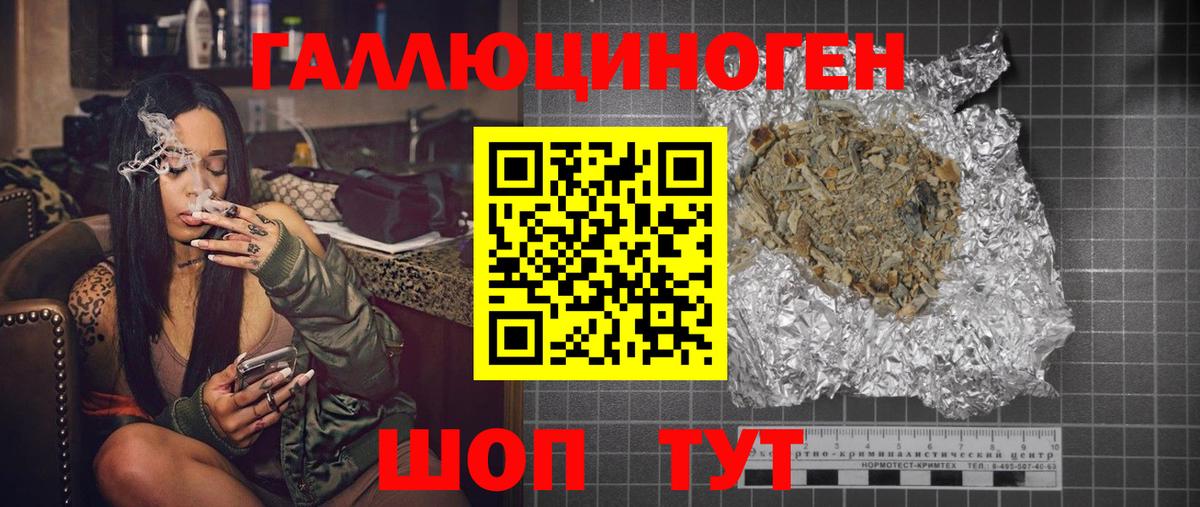 Галлюциногенные грибы Psilocybine cubensis Бердск