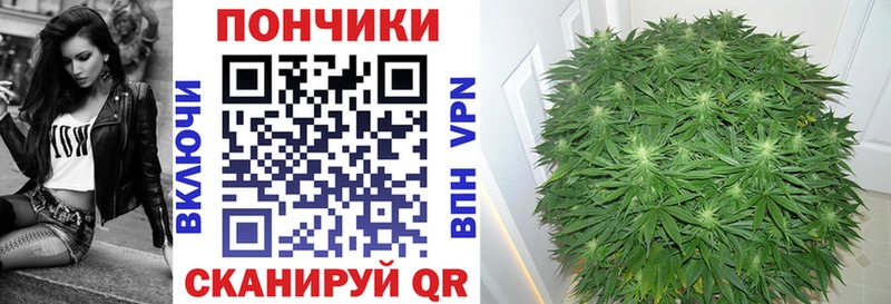 цена   Бердск  Шишки марихуана OG Kush 